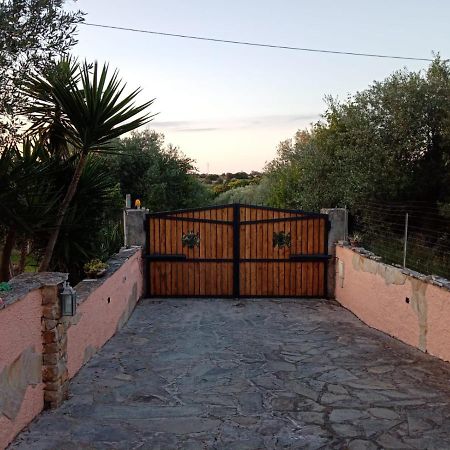 Villa Relax Tra Gli Ulivi ألغيرو المظهر الخارجي الصورة