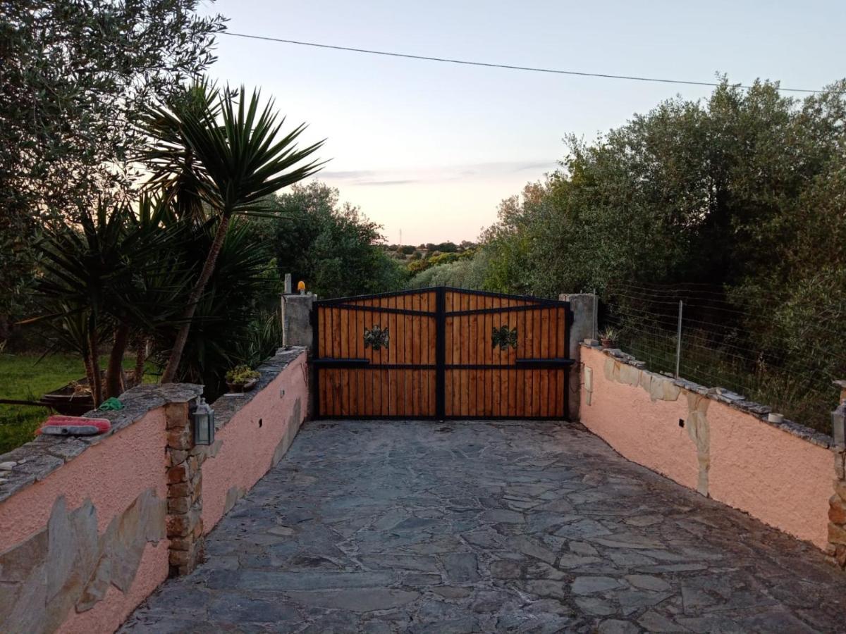 Villa Relax Tra Gli Ulivi ألغيرو المظهر الخارجي الصورة