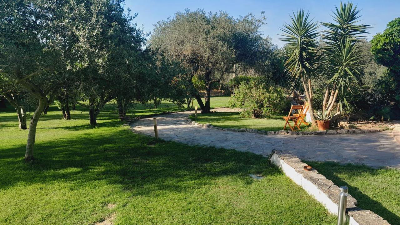Villa Relax Tra Gli Ulivi ألغيرو المظهر الخارجي الصورة