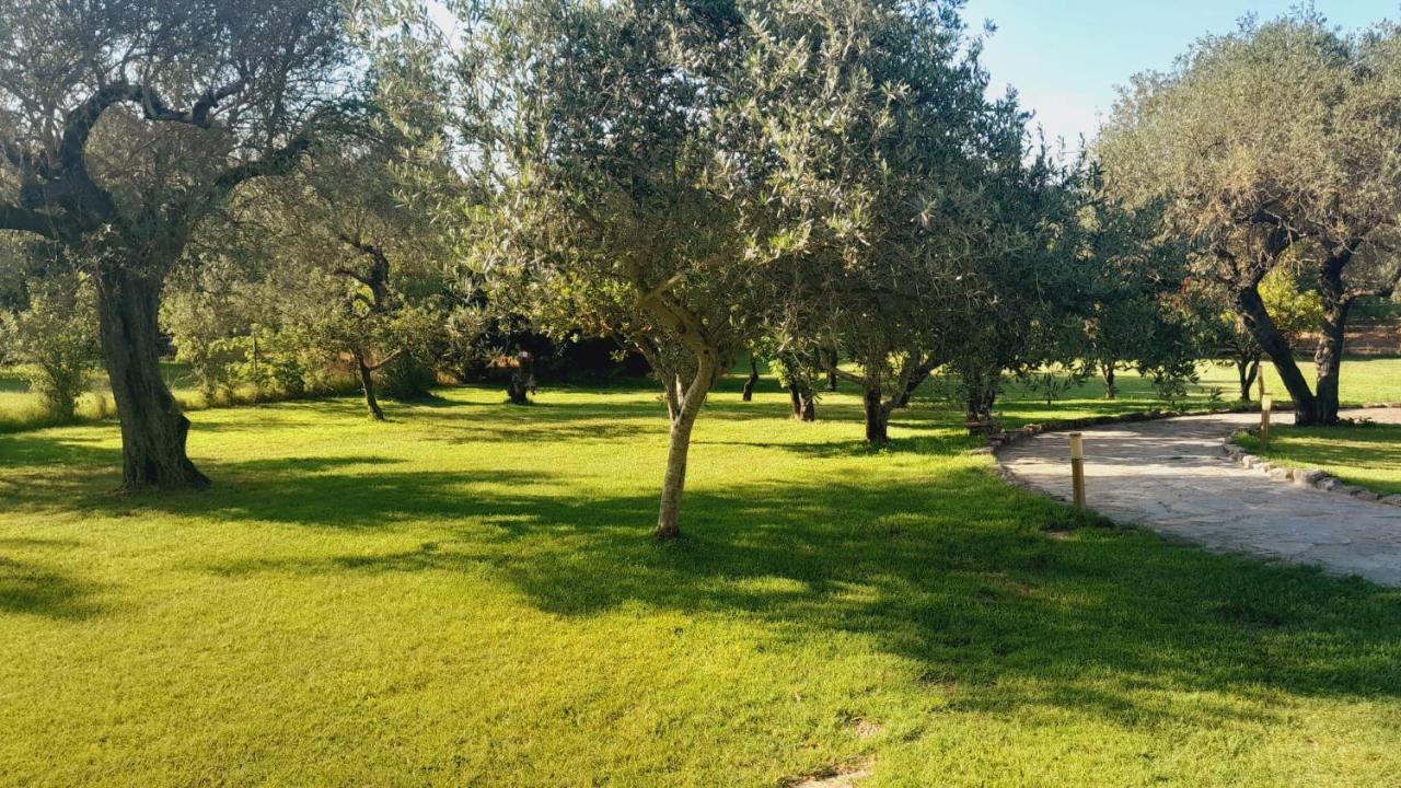 Villa Relax Tra Gli Ulivi ألغيرو المظهر الخارجي الصورة