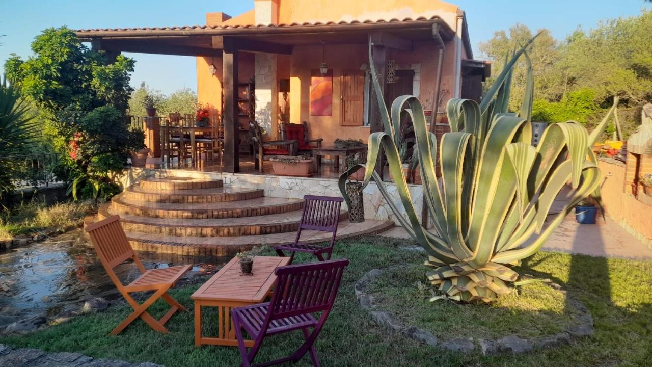 Villa Relax Tra Gli Ulivi ألغيرو المظهر الخارجي الصورة