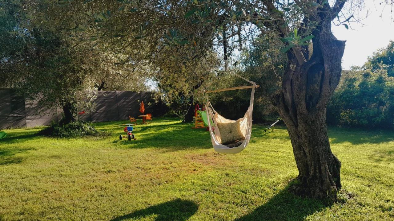 Villa Relax Tra Gli Ulivi ألغيرو المظهر الخارجي الصورة